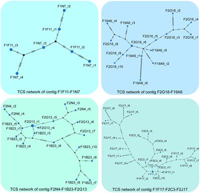 It Is Just a Matter of Time: Balancing Homologous Recombination and Non-homologous End Joining at the rDNA Locus During Meiosis